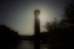 336587506_881950346438980_7720863546082917666_n