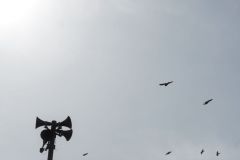 340278274_241144625060501_2406334073930226929_n