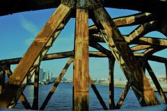 340559689_993377681648352_1674082448236062906_n