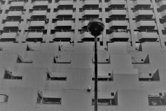 340677756_1182436542427204_6142379536218341149_n